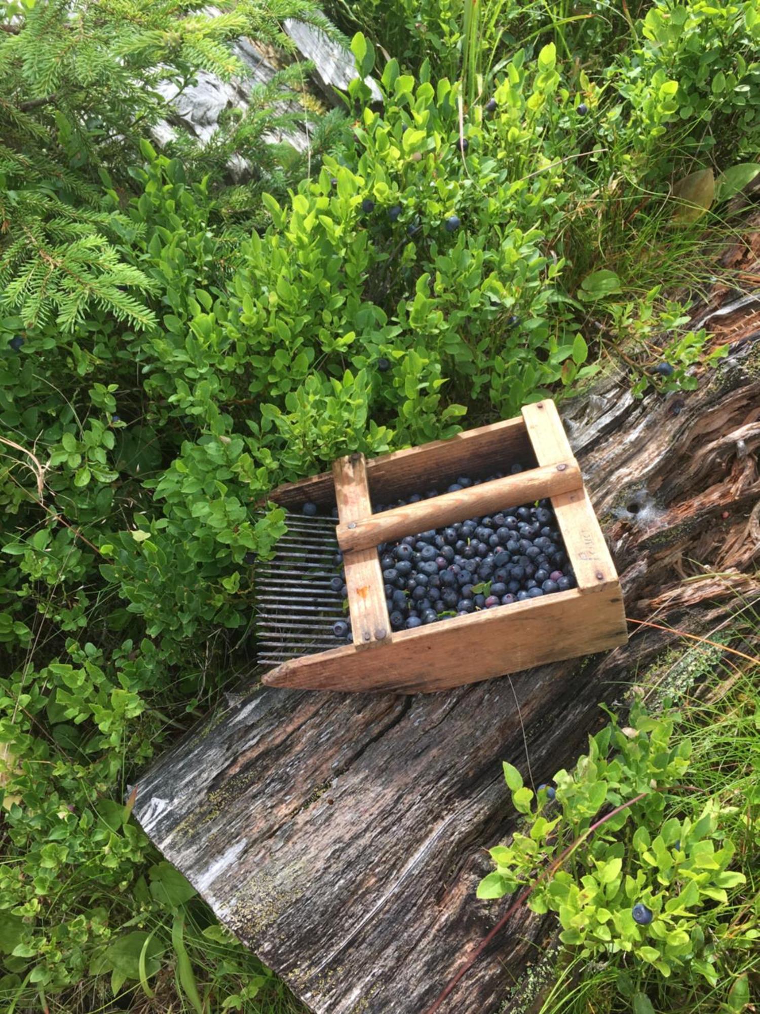 Ferienwohnungen Peisserhof Sillian Eksteriør bilde